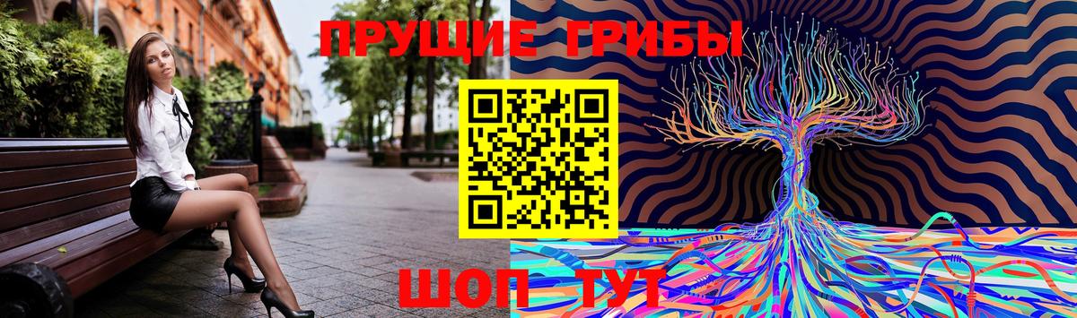 Псилоцибиновые грибы Psilocybe  Вход с VPN  Южноуральск  Псилоцибиновые грибы мицелий 