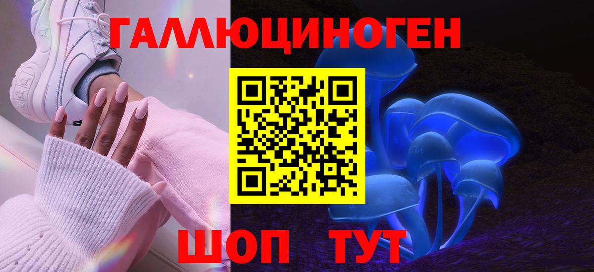 Галлюциногенные грибы Psilocybine cubensis Южноуральск